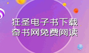 狂圣电子书下载奇书网免费阅读