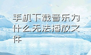 手机下载音乐为什么无法播放文件