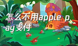 怎么不用apple pay支付