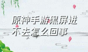 原神手游黑屏进不去怎么回事