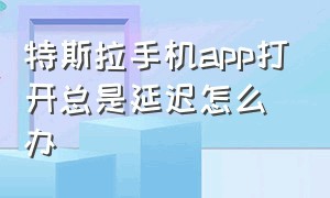 特斯拉手机app打开总是延迟怎么办