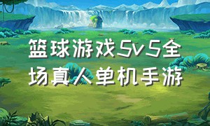 篮球游戏5v5全场真人单机手游