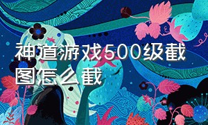 神道游戏500级截图怎么截