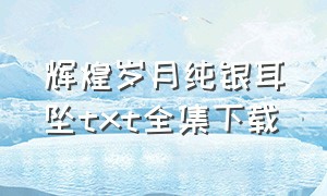 辉煌岁月纯银耳坠txt全集下载