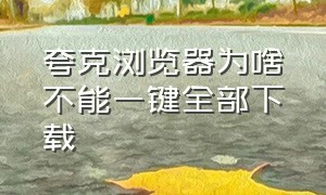 夸克浏览器为啥不能一键全部下载