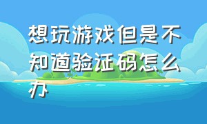 想玩游戏但是不知道验证码怎么办