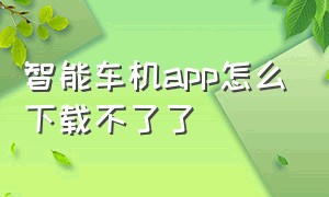 智能车机app怎么下载不了了