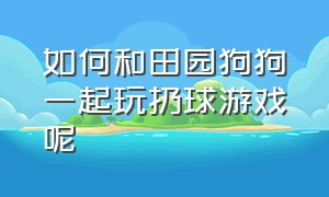 如何和田园狗狗一起玩扔球游戏呢