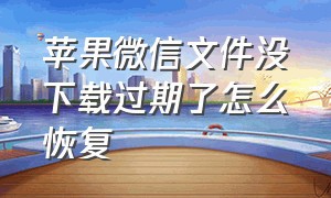 苹果微信文件没下载过期了怎么恢复