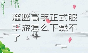 灌篮高手正式服手游怎么下载不了