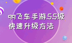 qq飞车手游55级快速升级方法