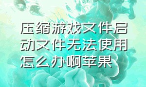 压缩游戏文件启动文件无法使用怎么办啊苹果