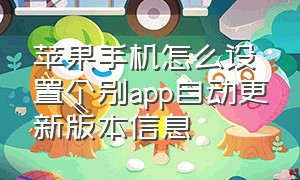 苹果手机怎么设置个别app自动更新版本信息