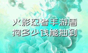 火影忍者手游盾狗多少钱能抽到