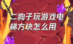 二狗子玩游戏电梯方块怎么用