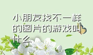 小朋友找不一样的图片的游戏叫什么