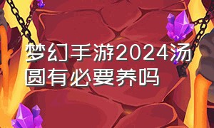 梦幻手游2024汤圆有必要养吗