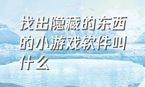 找出隐藏的东西的小游戏软件叫什么