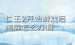 仁王2开始游戏后黑屏怎么办啊