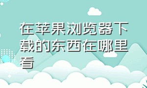 在苹果浏览器下载的东西在哪里看