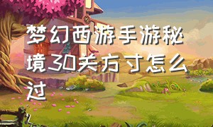 梦幻西游手游秘境30关方寸怎么过