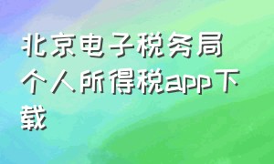 北京电子税务局个人所得税app下载