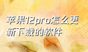 苹果12pro怎么更新下载的软件