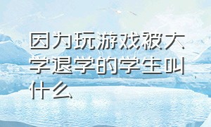 因为玩游戏被大学退学的学生叫什么