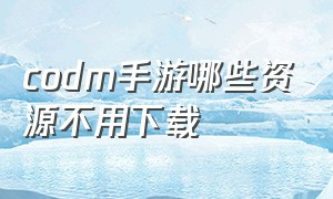 codm手游哪些资源不用下载