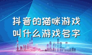 抖音的猫咪游戏叫什么游戏名字