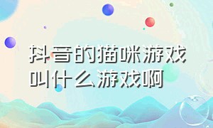 抖音的猫咪游戏叫什么游戏啊