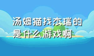 汤姆猫找杰瑞的是什么游戏啊