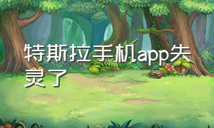 特斯拉手机app失灵了