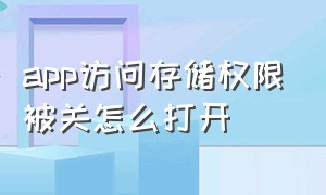 app访问存储权限被关怎么打开