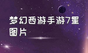 梦幻西游手游7星图片