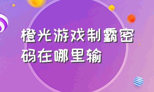 橙光游戏制霸密码在哪里输