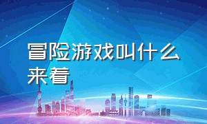 冒险游戏叫什么来着