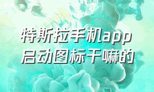 特斯拉手机app启动图标干嘛的