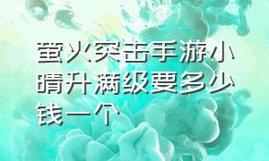 萤火突击手游小晴升满级要多少钱一个