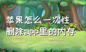 苹果怎么一次性删除app里的内存