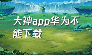 大神app华为不能下载