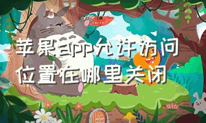 苹果app允许访问位置在哪里关闭