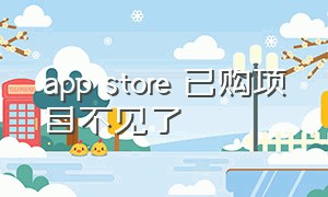 app store 已购项目不见了