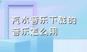 汽水音乐下载的音乐怎么用