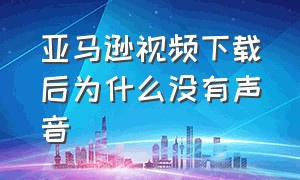 亚马逊视频下载后为什么没有声音