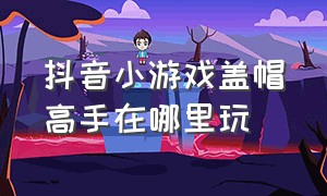 抖音小游戏盖帽高手在哪里玩