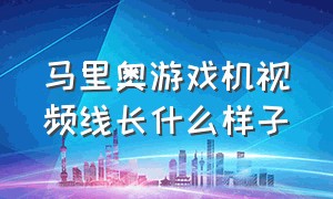 马里奥游戏机视频线长什么样子