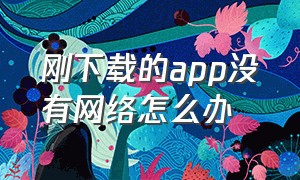 刚下载的app没有网络怎么办