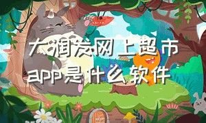 大润发网上超市app是什么软件