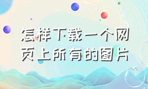 怎样下载一个网页上所有的图片